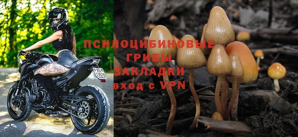 ALPHA PVP Беломорск
